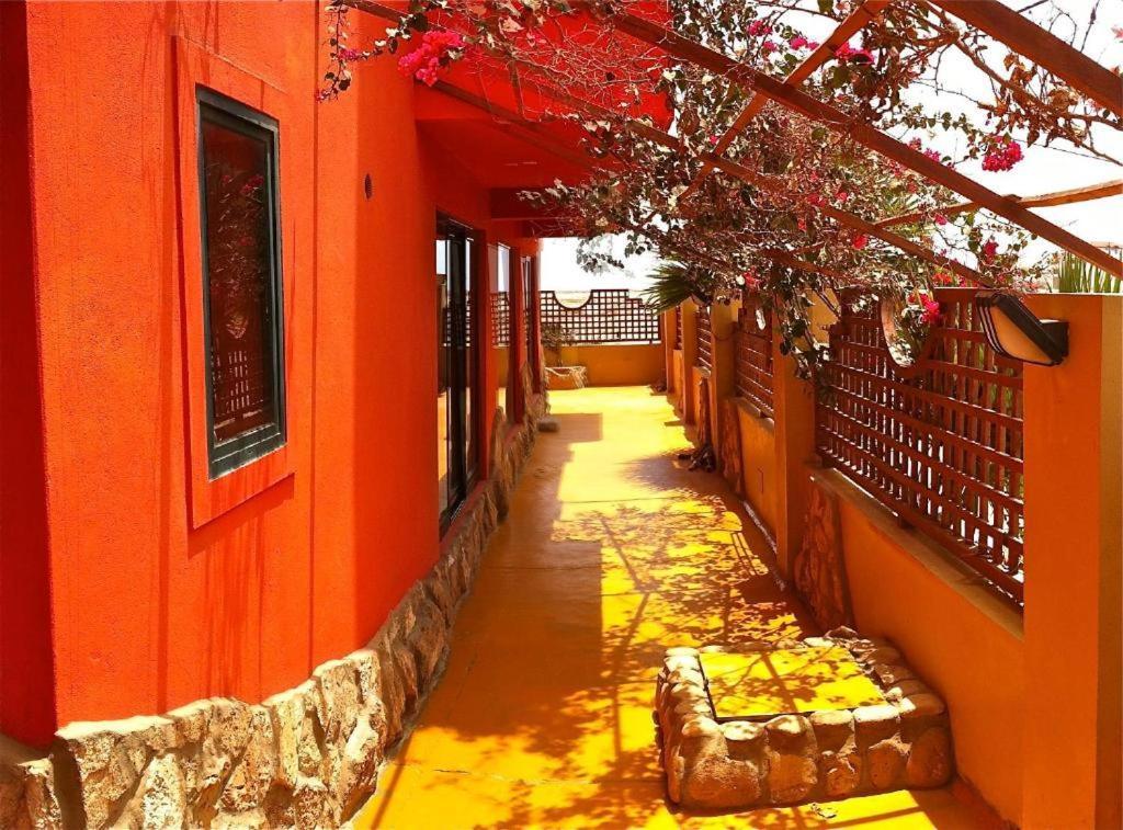 Surfactivity Guest House 산타 마리아 외부 사진